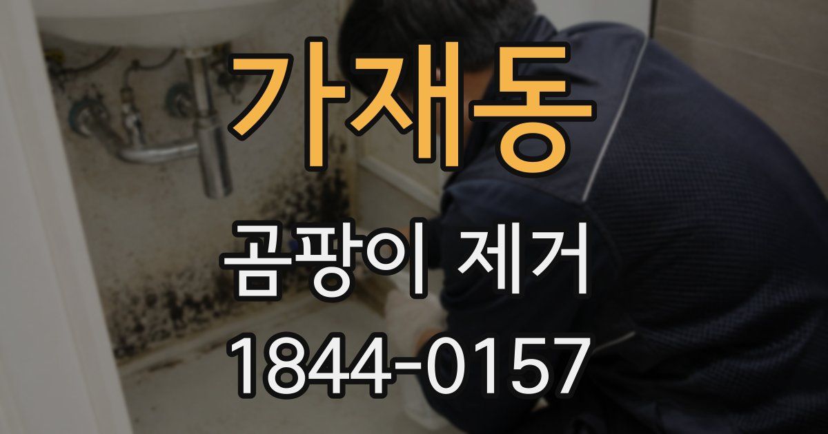 가재동 곰팡이 제거