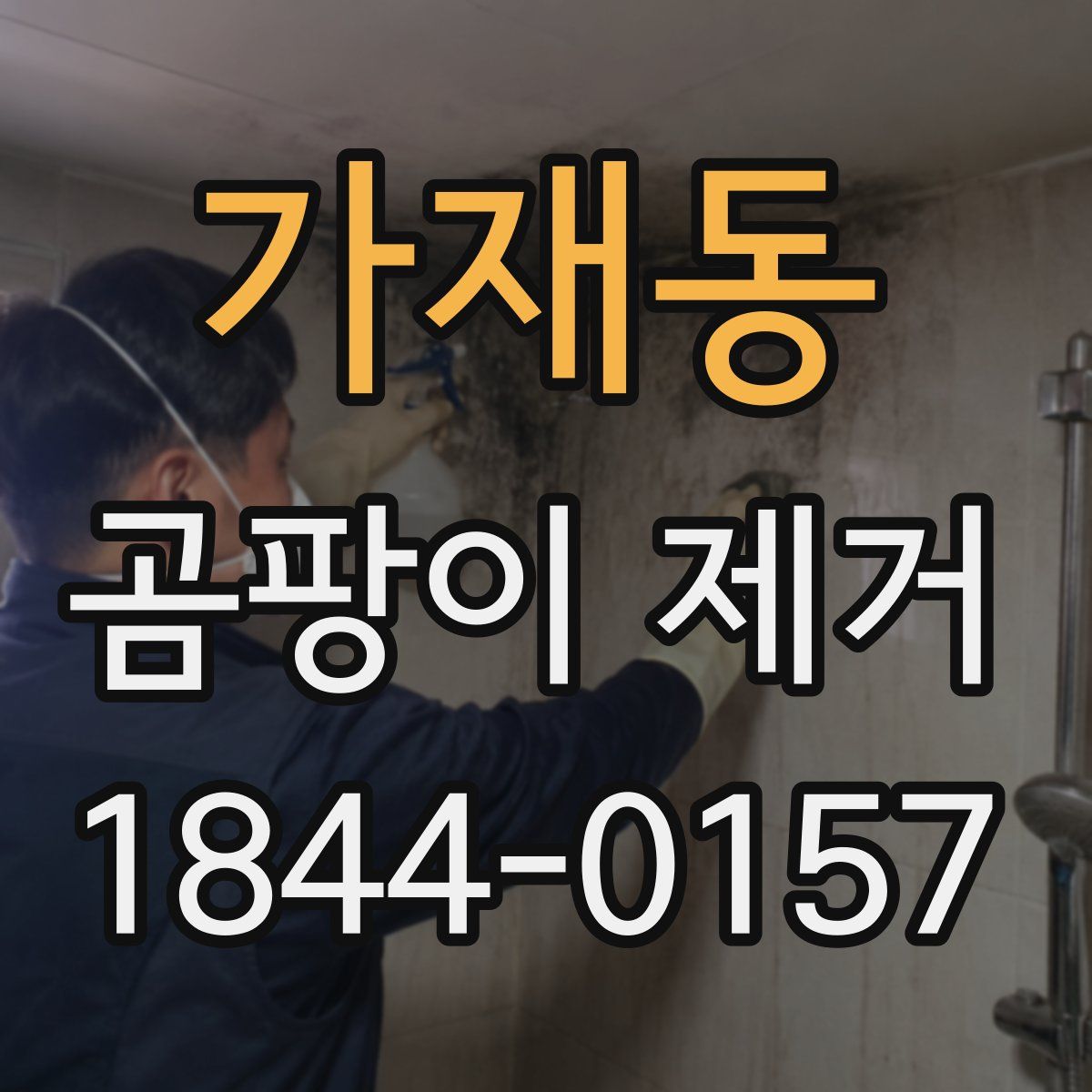 가재동 곰팡이 제거