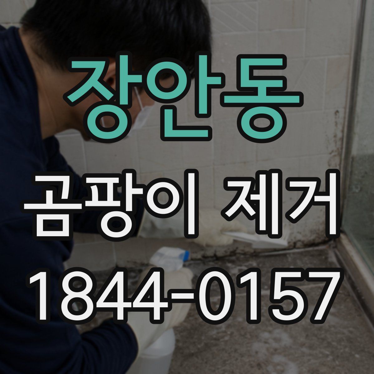 장안동 곰팡이 제거
