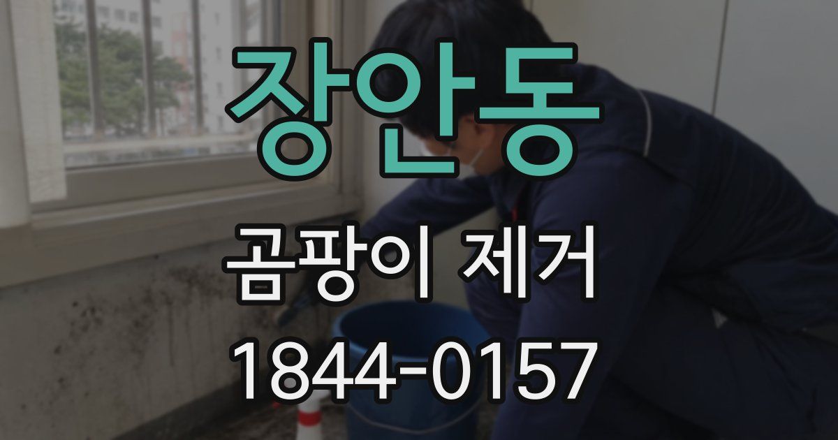 장안동 곰팡이 제거