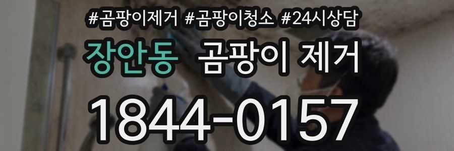 장안동 곰팡이 제거