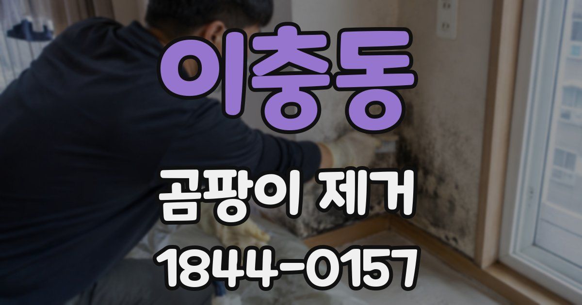 이충동 곰팡이 제거