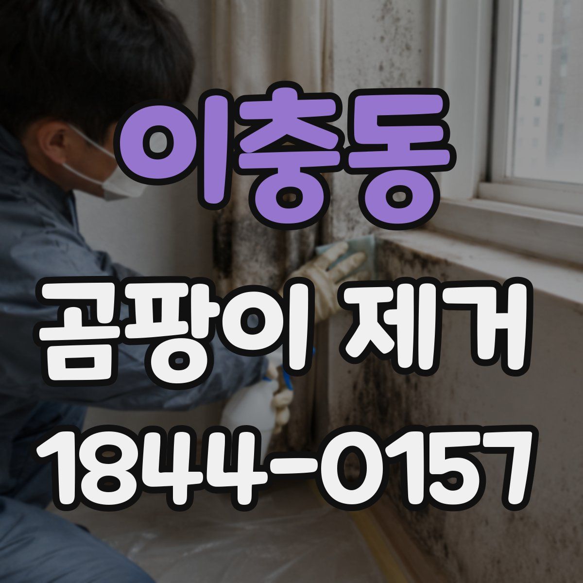 이충동 곰팡이 제거