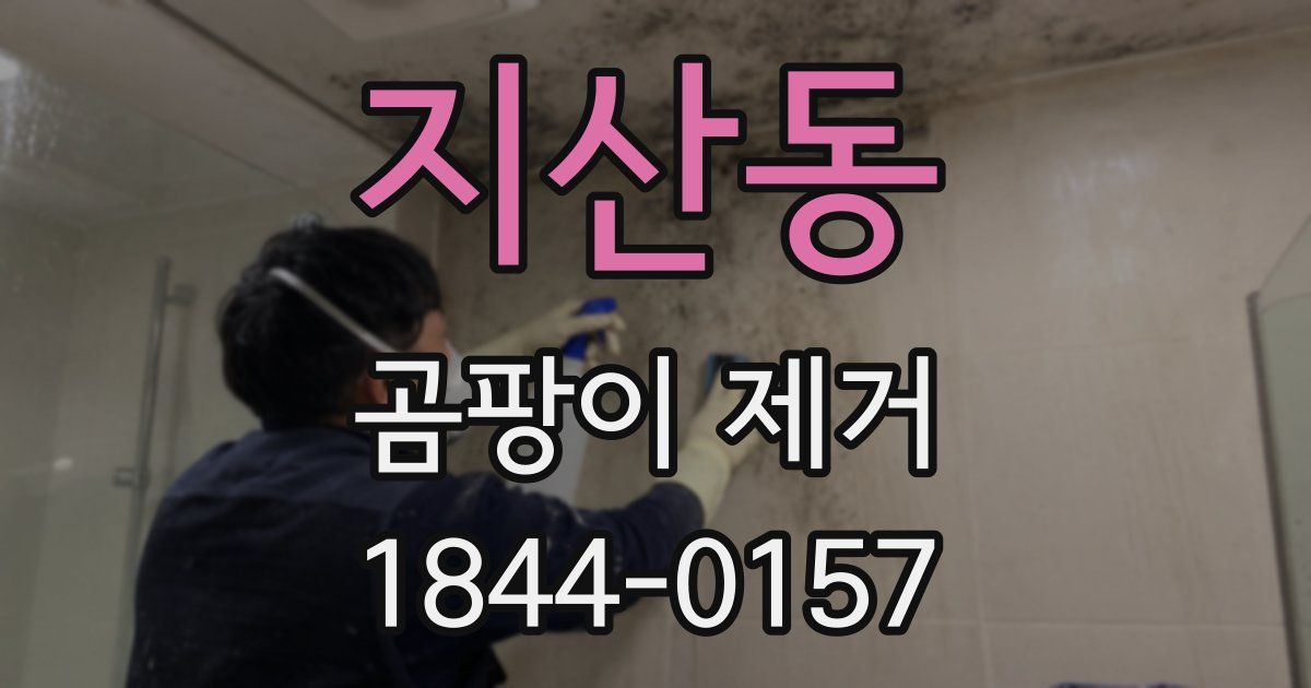 지산동 곰팡이 제거
