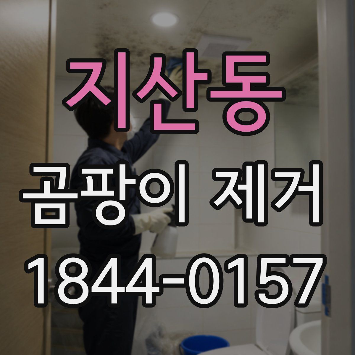 지산동 곰팡이 제거