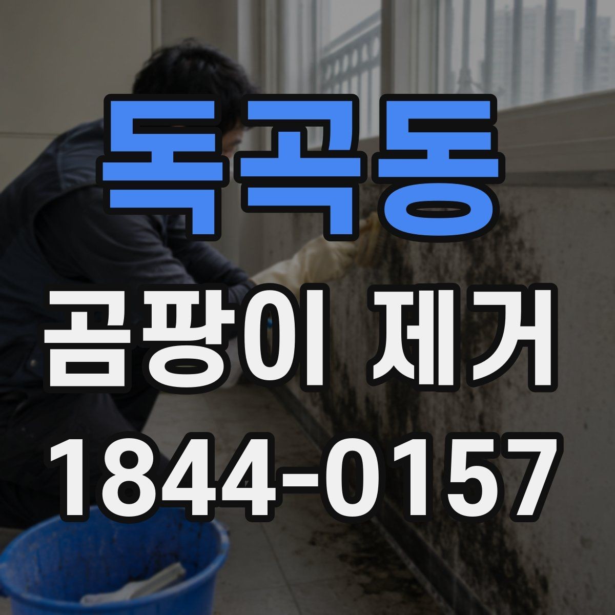 독곡동 곰팡이 제거 검은곰팡이 의심될 때 대처하는 순서