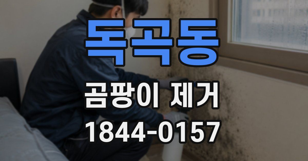 독곡동 곰팡이 제거