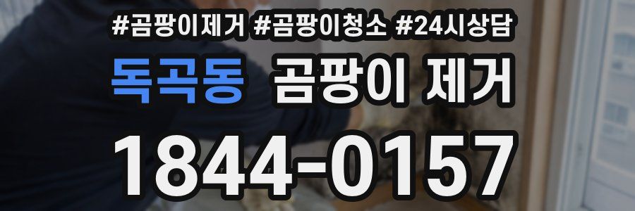 독곡동 곰팡이 제거