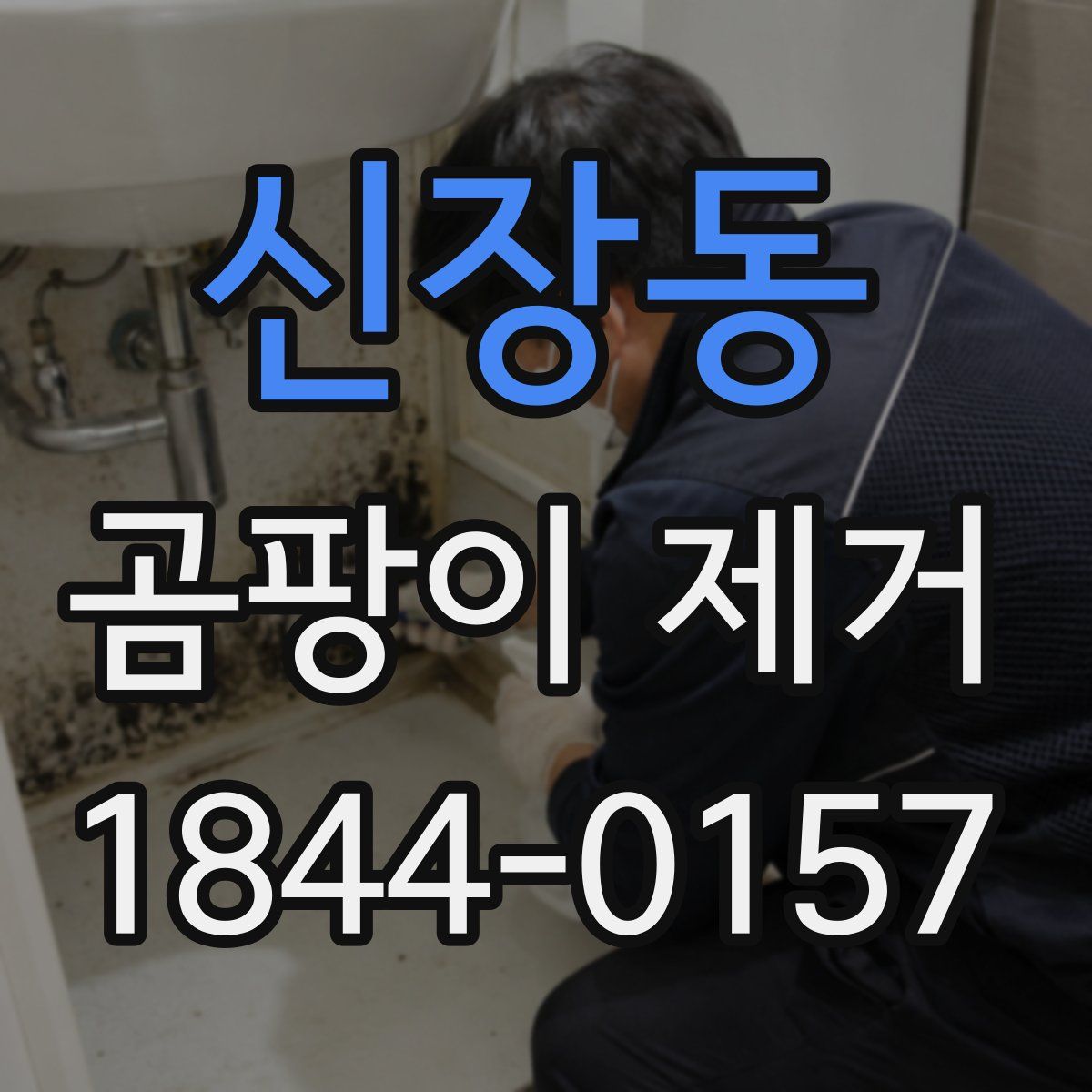 신장동 곰팡이 제거