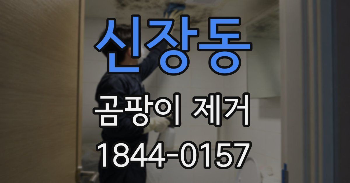 신장동 곰팡이 제거