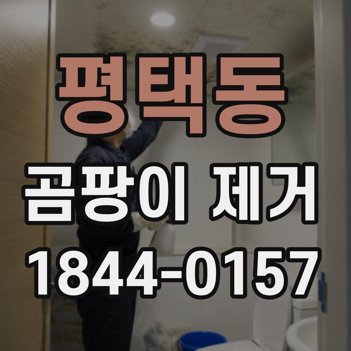 평택동 곰팡이 제거 곰팡이 냄새가 강하게 올라올 때 확인할 곳