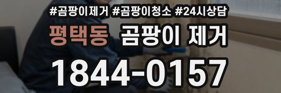 평택동 곰팡이 제거