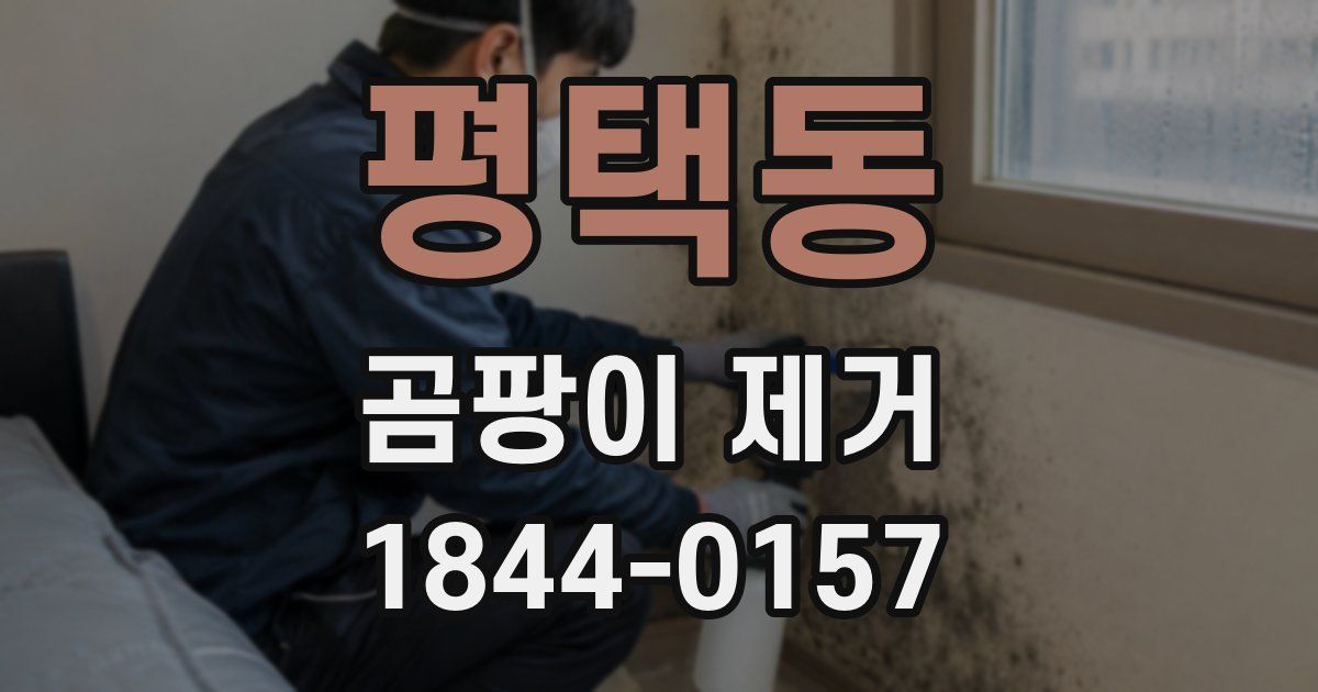평택동 곰팡이 제거