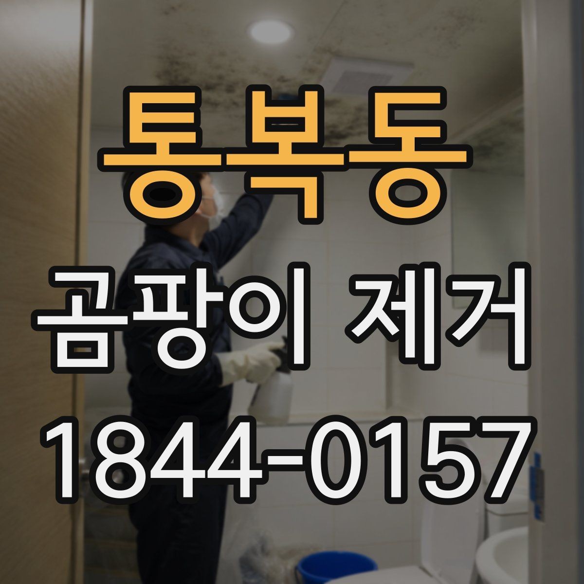 통복동 곰팡이 제거 도배 전 곰팡이 냄새 확인법