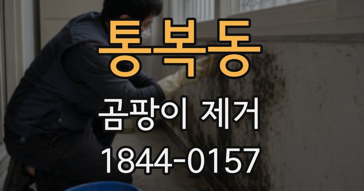통복동 곰팡이 제거