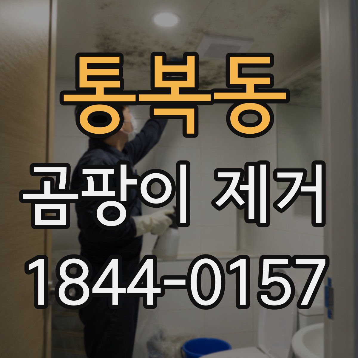 통복동 곰팡이 제거