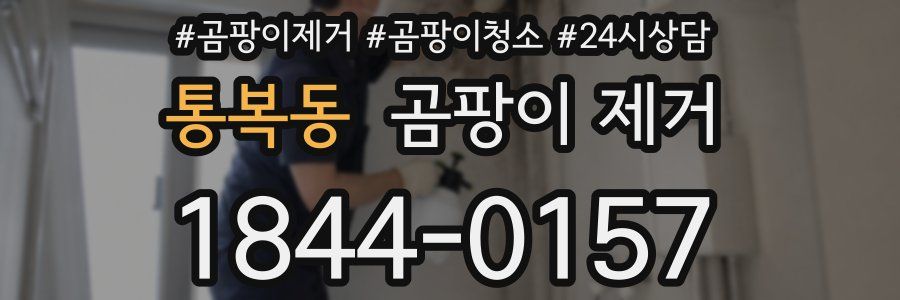 통복동 곰팡이 제거
