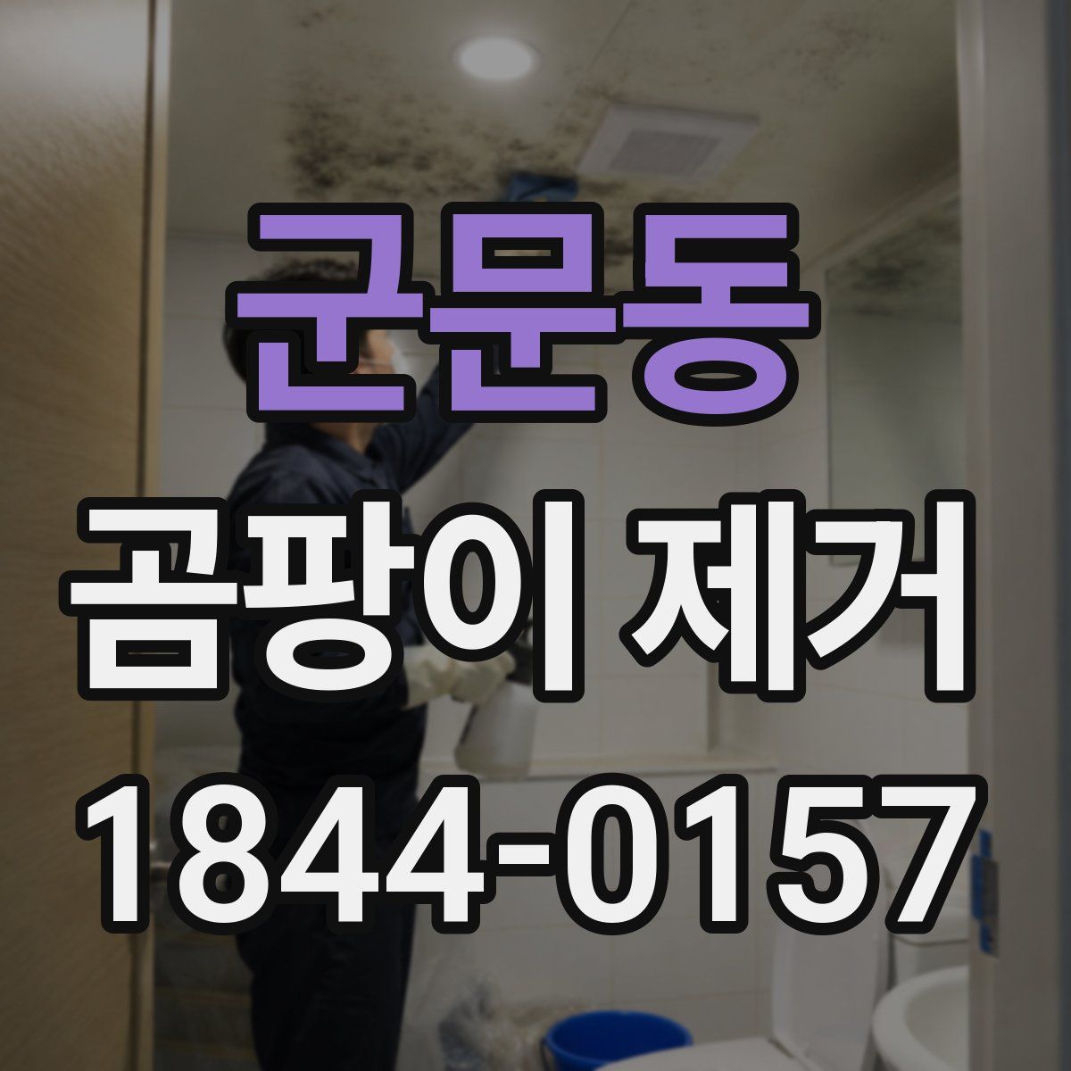 군문동 곰팡이 제거