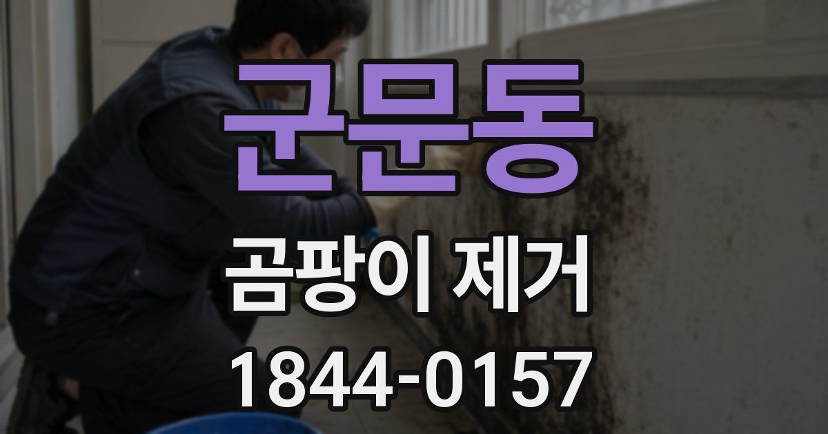 군문동 곰팡이 제거