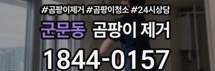 군문동 곰팡이 제거