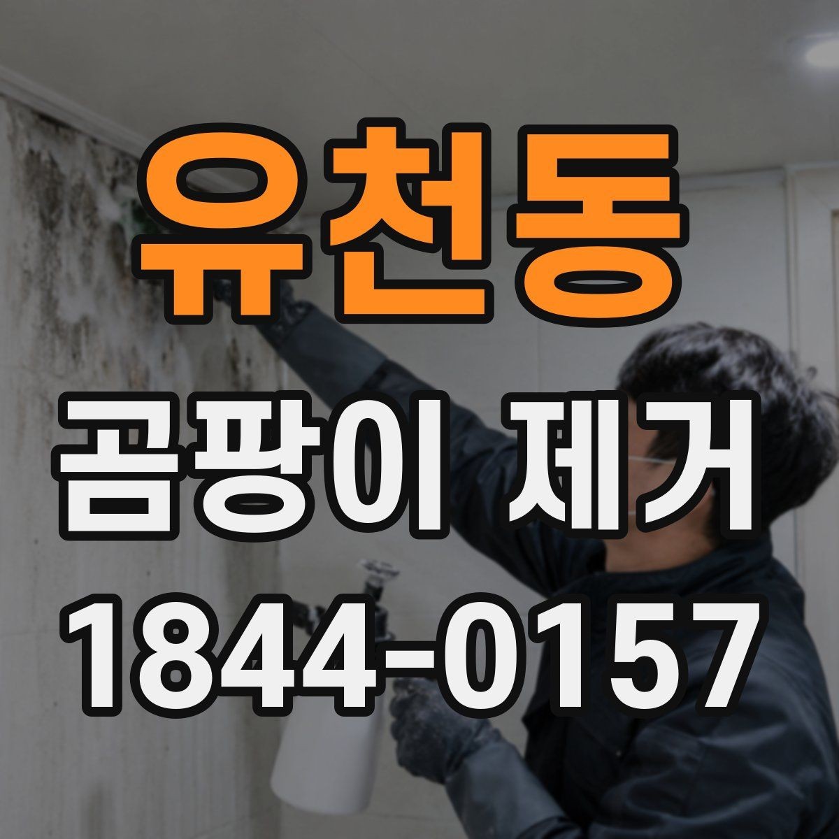 유천동 곰팡이 제거 벽지와 실리콘 상태에 따라 달라지는 대처