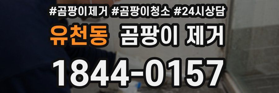 유천동 곰팡이 제거