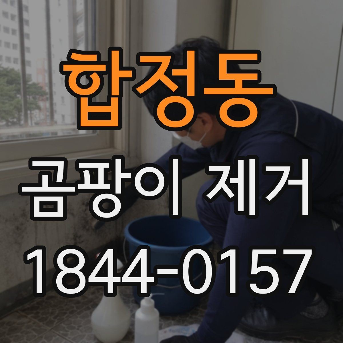 합정동 곰팡이 제거 원룸과 오피스텔에서 먼저 확인할 부분