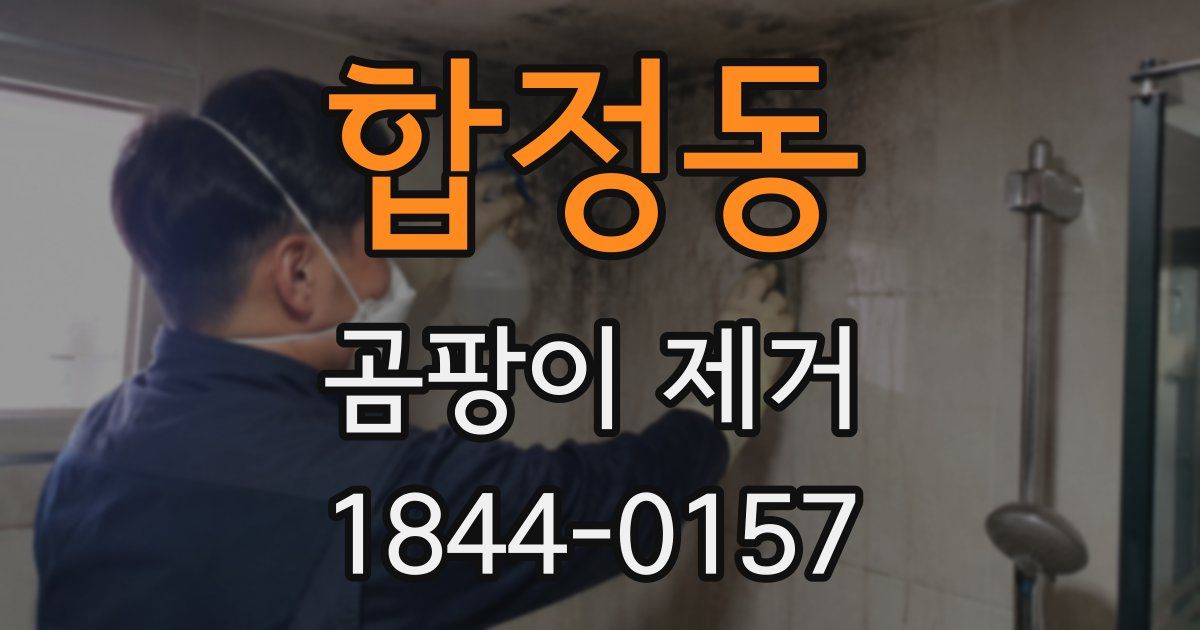 합정동 곰팡이 제거