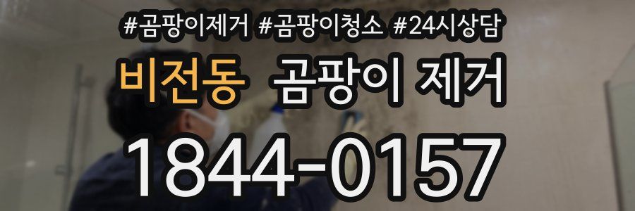 비전동 곰팡이 제거