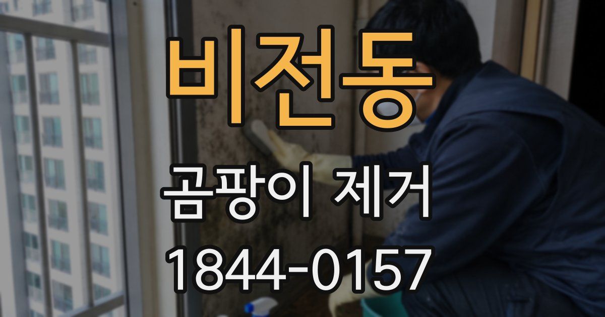 비전동 곰팡이 제거