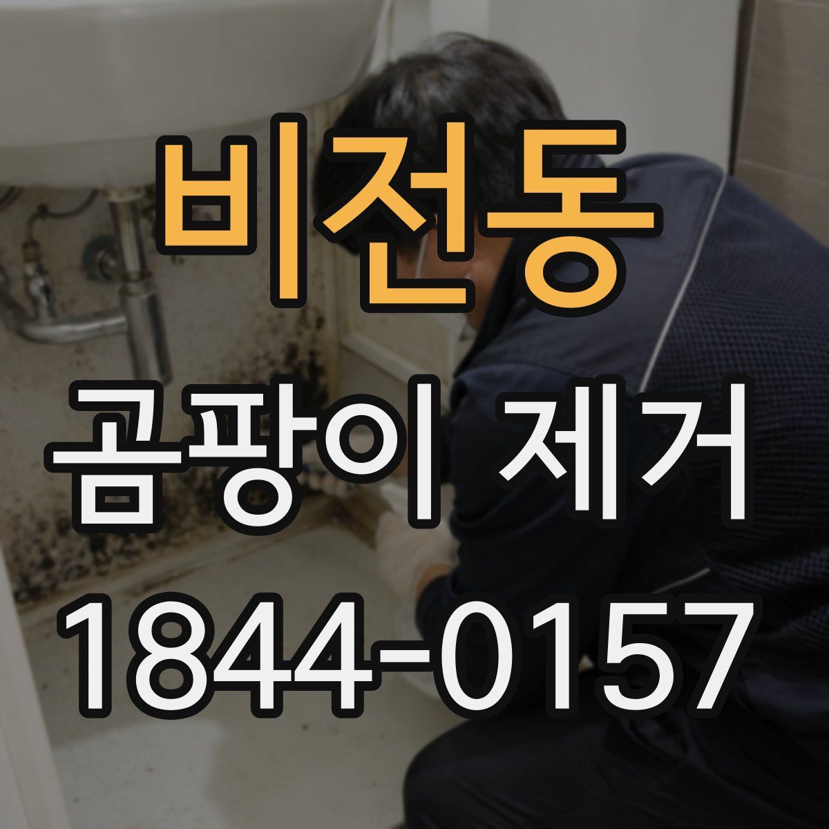 비전동 곰팡이 제거