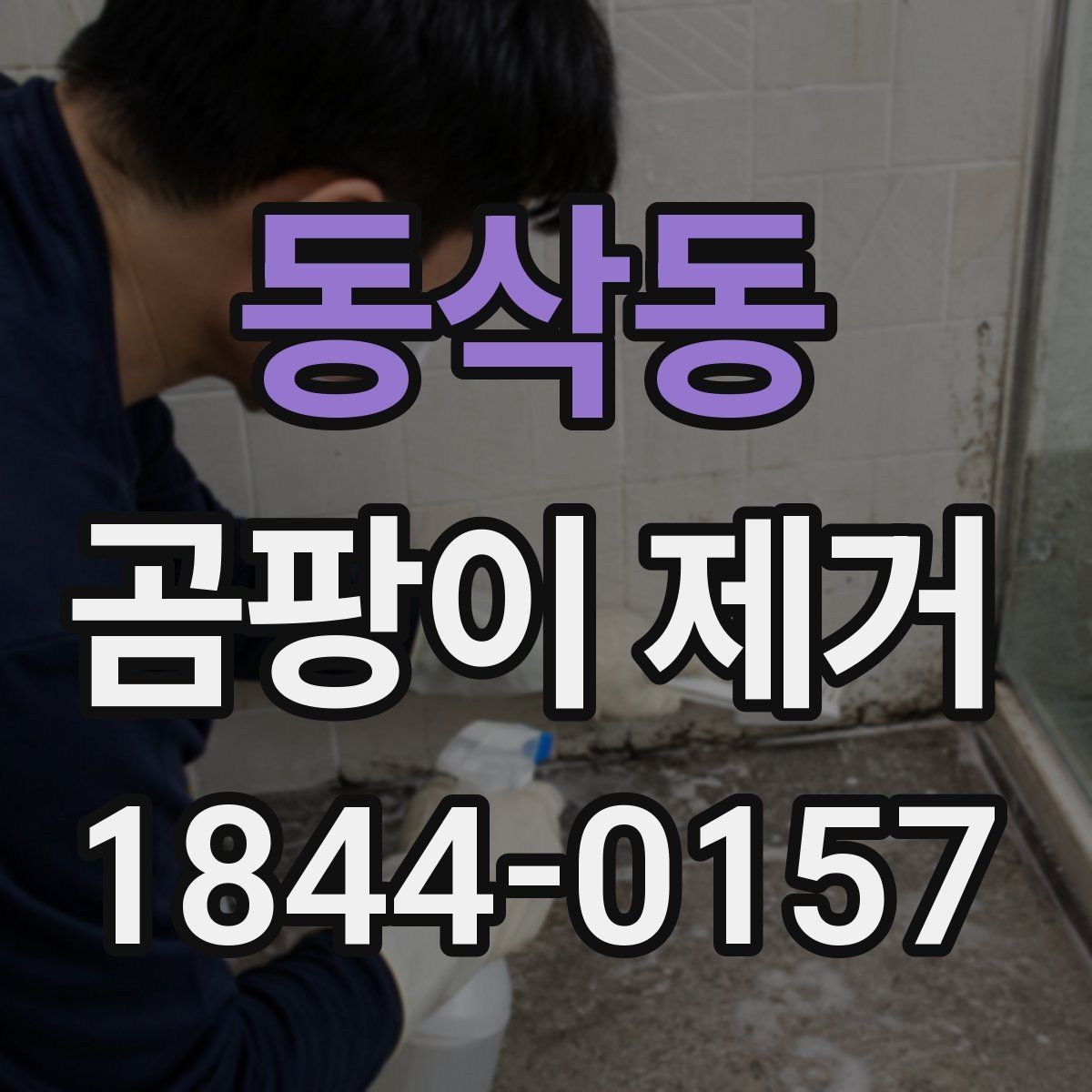 동삭동 곰팡이 제거 입주 전 살펴보기해야 할 체크 항목