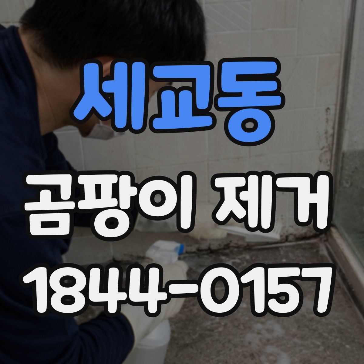 세교동 곰팡이 제거 검은 자국이 보일 때 먼저 살필 위치