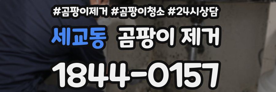 세교동 곰팡이 제거
