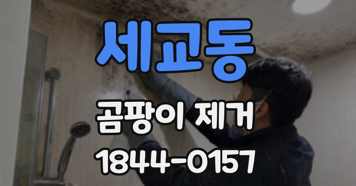 세교동 곰팡이 제거