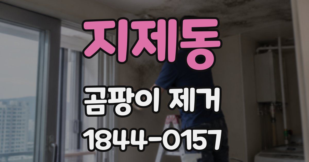 지제동 곰팡이 제거