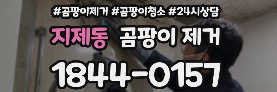지제동 곰팡이 제거