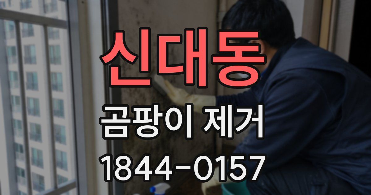 신대동 곰팡이 제거