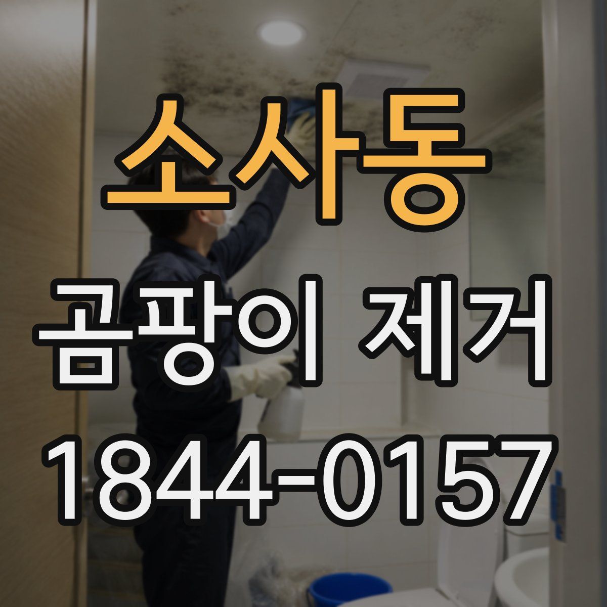 소사동 곰팡이 제거