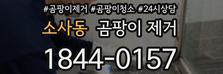 소사동 곰팡이 제거