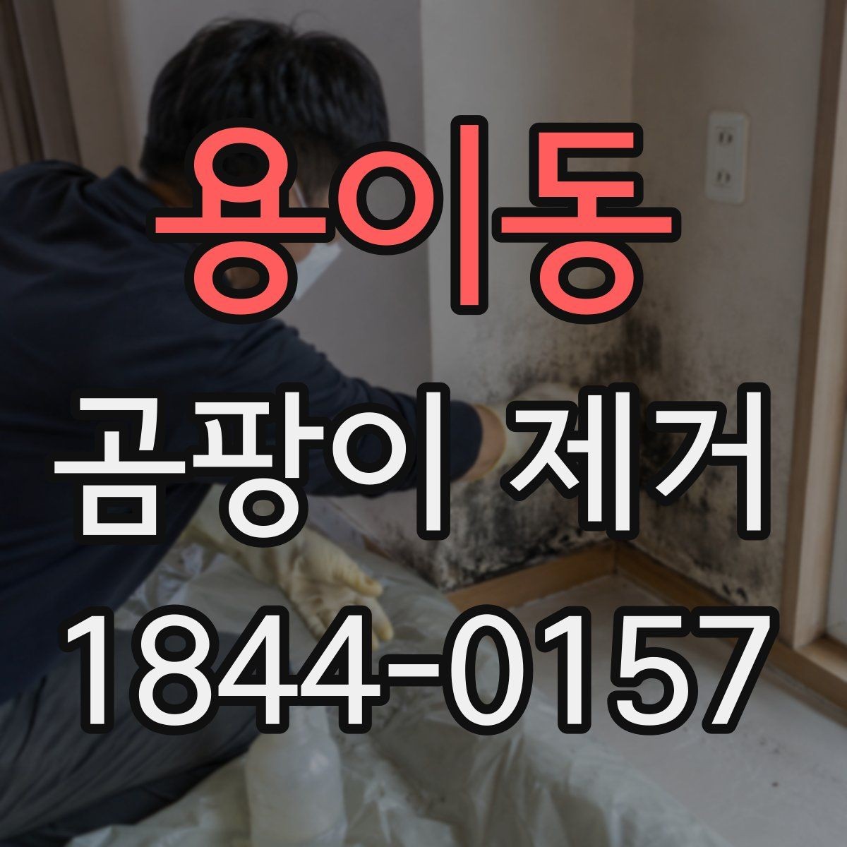 용이동 곰팡이 제거 도배 전 누수 흔적을 확인하는 순서