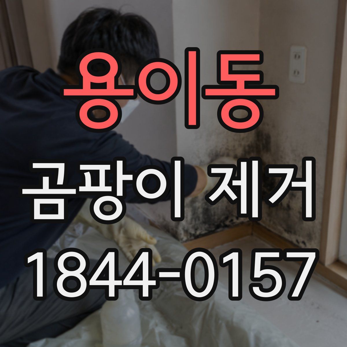 용이동 곰팡이 제거