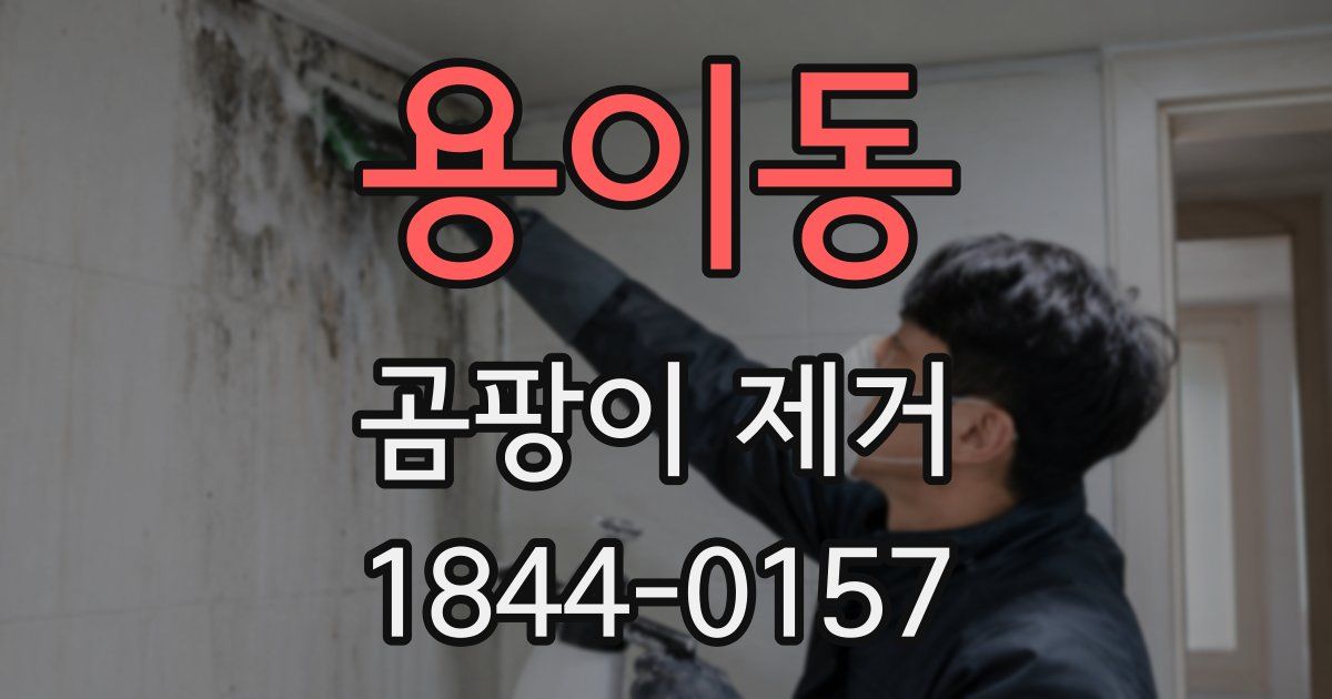 용이동 곰팡이 제거
