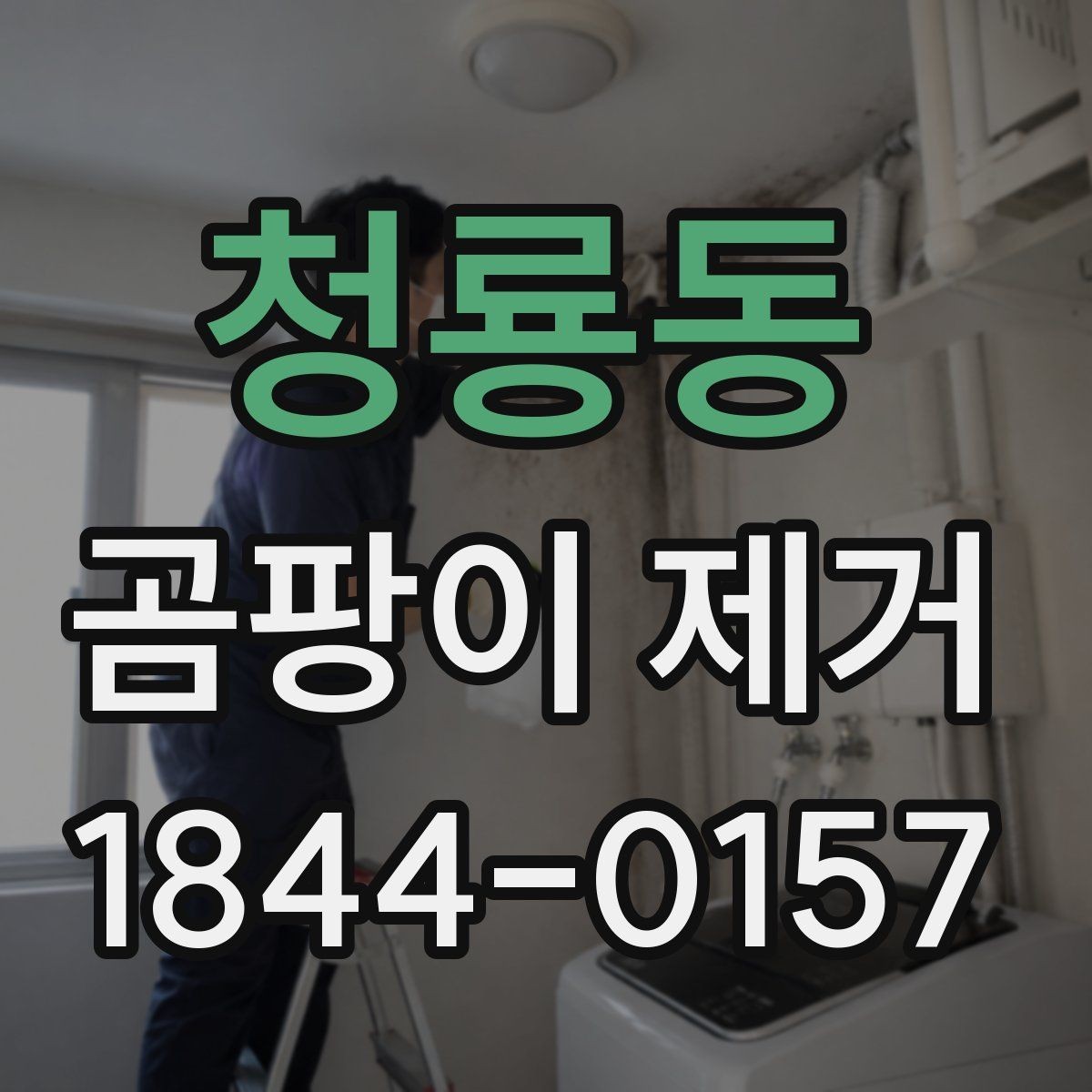청룡동 곰팡이 제거 천장 얼룩이 넓어지기 전 확인 포인트