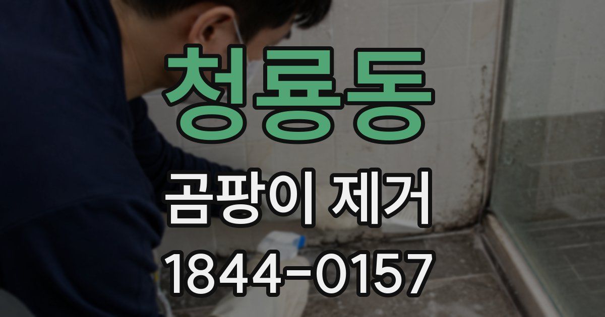 청룡동 곰팡이 제거