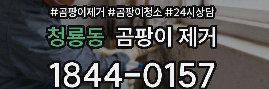 청룡동 곰팡이 제거