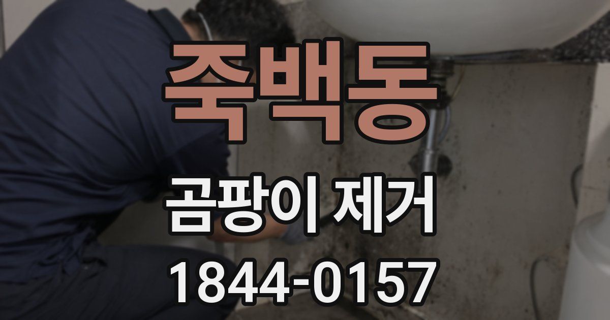 죽백동 곰팡이 제거