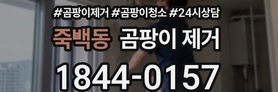 죽백동 곰팡이 제거