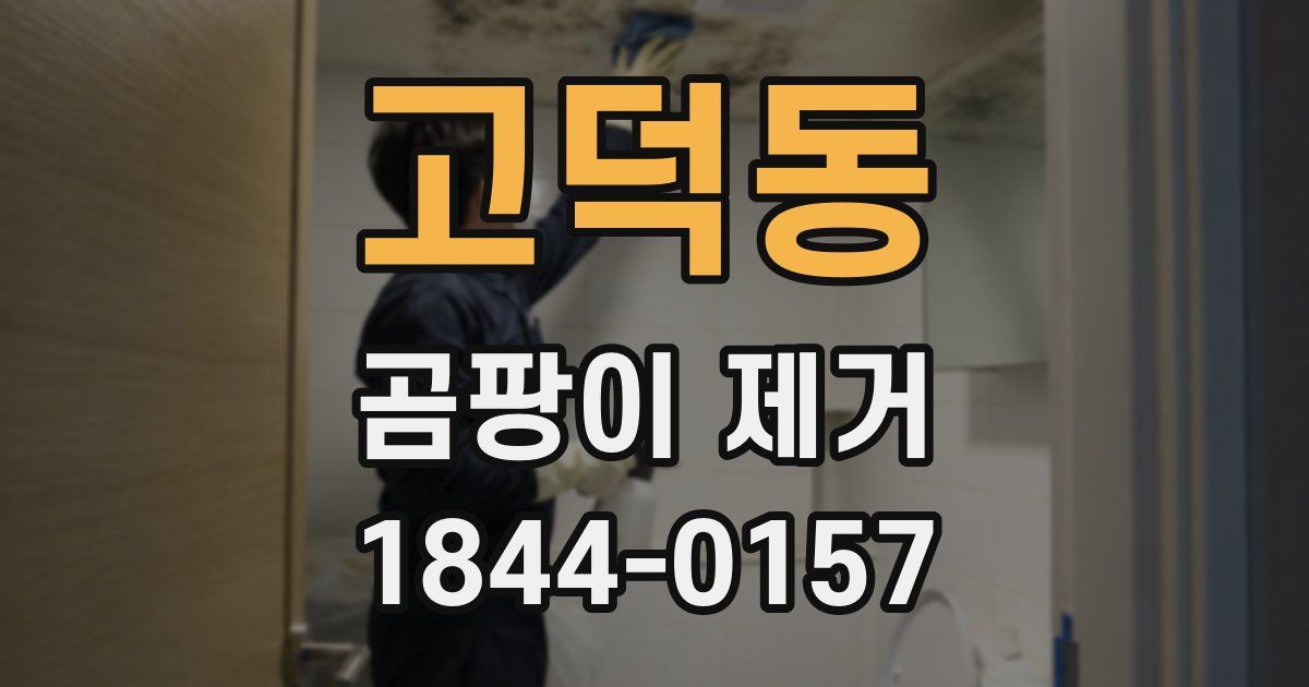고덕동 곰팡이 제거