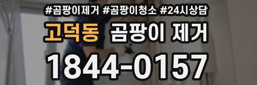 고덕동 곰팡이 제거